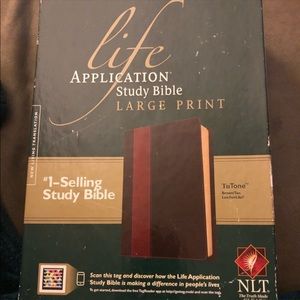 Large Print Study Bible